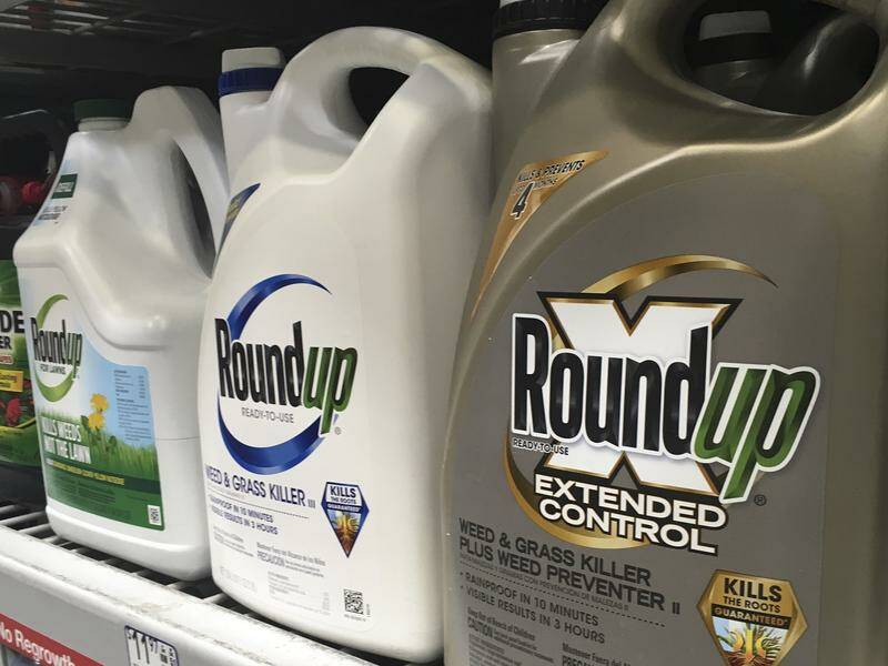 A class action claims Roundup's active ingredient glyphosate caused cancer in over 800 Australians. Photo: AP PHOTO