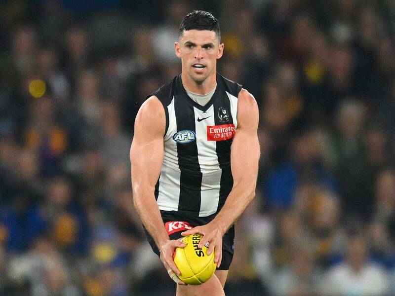 Scott Pendlebury will play his 400th game on Saturday and will go around again in 2025. Photo: Morgan Hancock/AAP PHOTOS