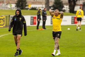 Dustin Martin continues to be hampered by a back injury. Photo: Diego Fedele/AAP PHOTOS