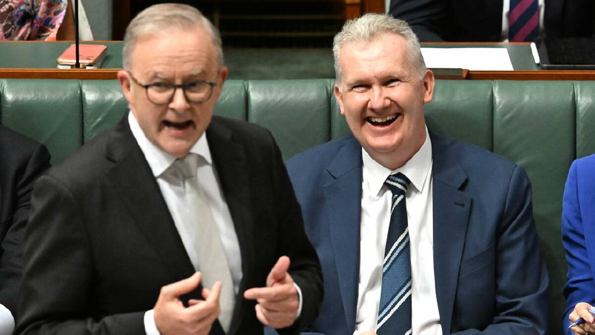 Anthony Albanese says leader of the house Tony Burke "is certainly up for" his increased workload. (Lukas Coch/AAP PHOTOS)