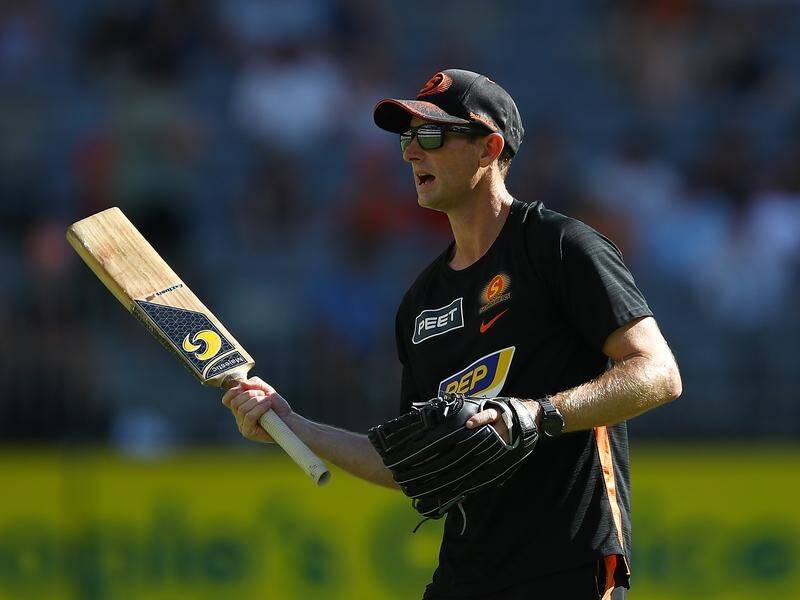 Coach Adam Voges has enjoyed sustained success with Western Australia and the Perth Scorchers. (Gary Day/AAP PHOTOS)