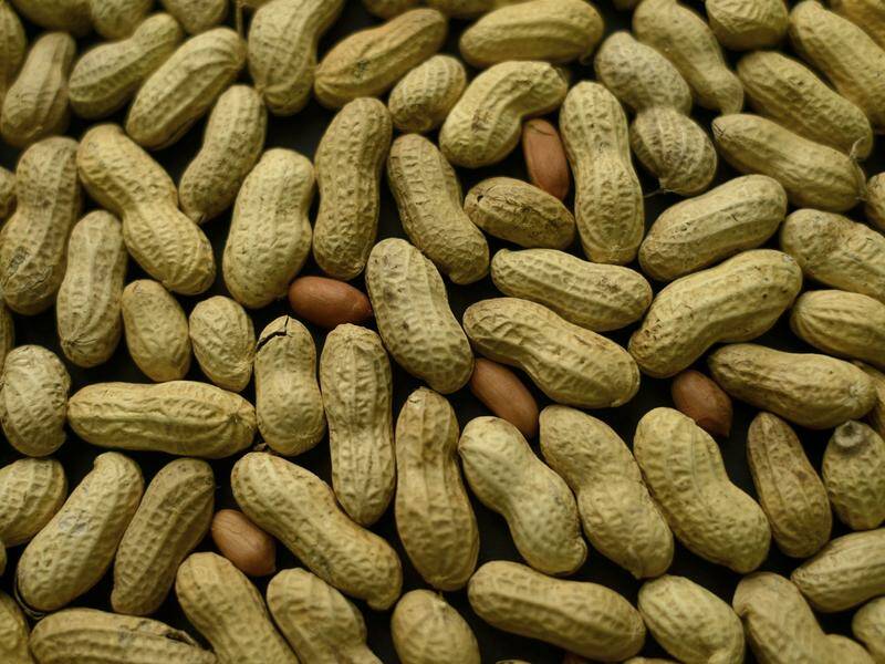 Australian hospitals are taking part in world-first human trials of a new peanut allergy treatment. Photo: AP PHOTO