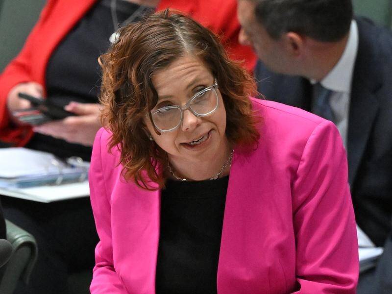 Amanda Rishworth has introduced changes to when interim periods apply for child support payments. (Mick Tsikas/AAP PHOTOS)