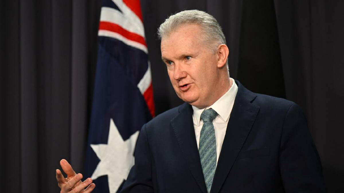 Minister Tony Burke warned he would introduce legislation if the CFMEU challenged proceedings. (Lukas Coch/AAP PHOTOS)