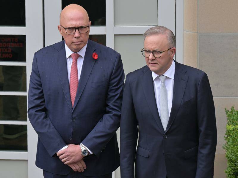 A poll suggests 28 per cent of voters back Peter Dutton and Anthony Albanese as preferred leaders. Photo: Mick Tsikas/AAP PHOTOS