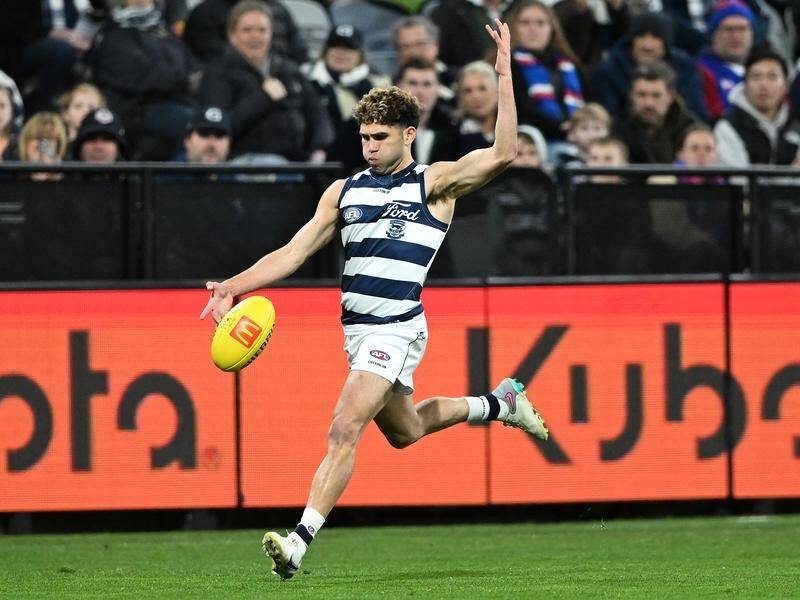 Tyson Stengle's second goal in the third quarter proved key in Geelong's win over the Bulldogs. (James Ross/AAP PHOTOS)