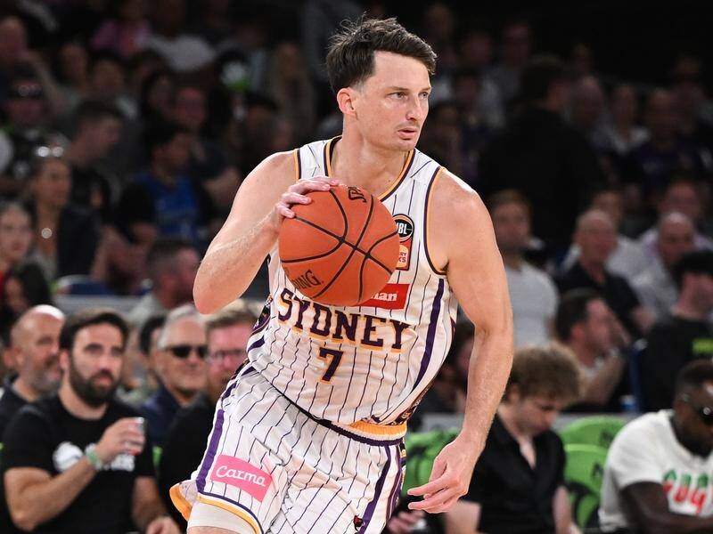 Shaun Bruce insists the Sydney Kings can make their mark in the NBL Finals. (Joel Carrett/AAP PHOTOS)
