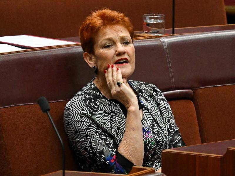 Pauline Hanson's previous statements over 30 years may be part of the case. (Lukas Coch/AAP PHOTOS)