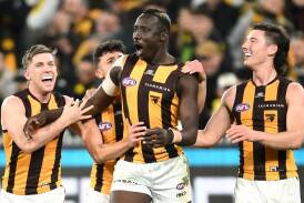 Hawthorn are excited ahead of a big day at the MCG against the defending premiers. Photo: Joel Carrett/AAP PHOTOS