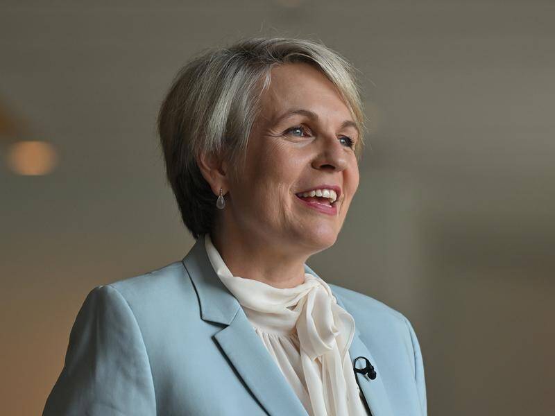 Environment Minister Tanya Plibersek will address a Murray Darling basin conference on Thursday. (Mick Tsikas/AAP PHOTOS)
