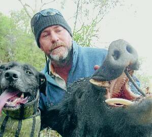 MISUNDERSTOOD: Inverell-based pig-hunter Ned Makim, pictured with his dog Bob and a feral boar caught in the New England region, says owners of dogs of all descriptions must lock up their dogs.