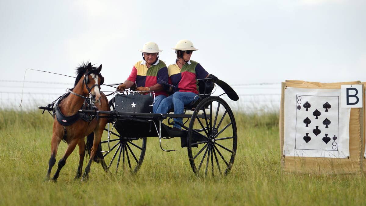 Col and Robyn Douglas from Kootingal work on their carriage driving skills at AELEC. Photo:Barry Smith 160213BSE22