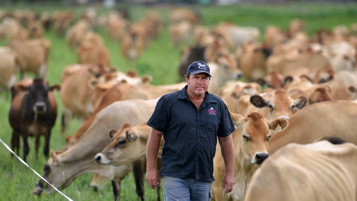 A photo of Brian Wilson, a fourth generation cattle farmer at Wallamore Rd, Tamworth. Photo:Barry Smith 150213BSE21