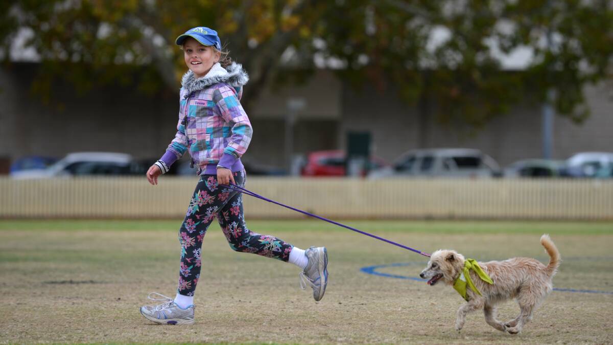 Daniel Skeffington and her dog Scruffy at the Million Paws Walk in May. Photo:Barry Smith 190513BSA01
