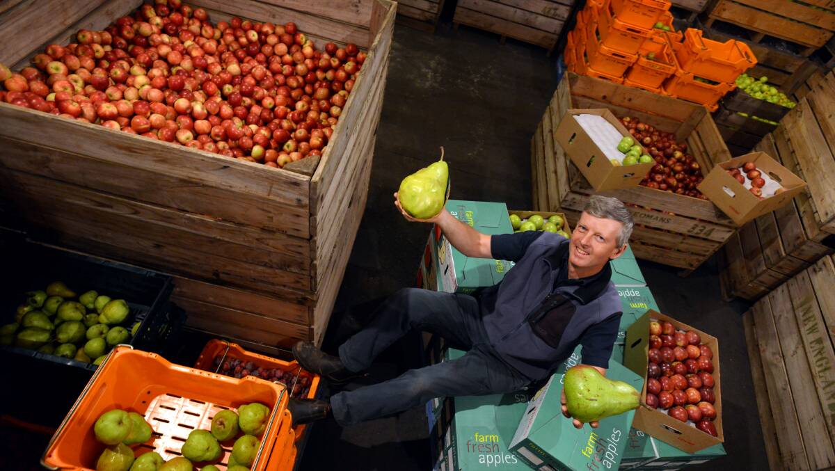 Warren Yeoman of Green Hill Orchard at Uralla with his containers of Apples and Pears. Photo:Barry Smith 030413BSA02