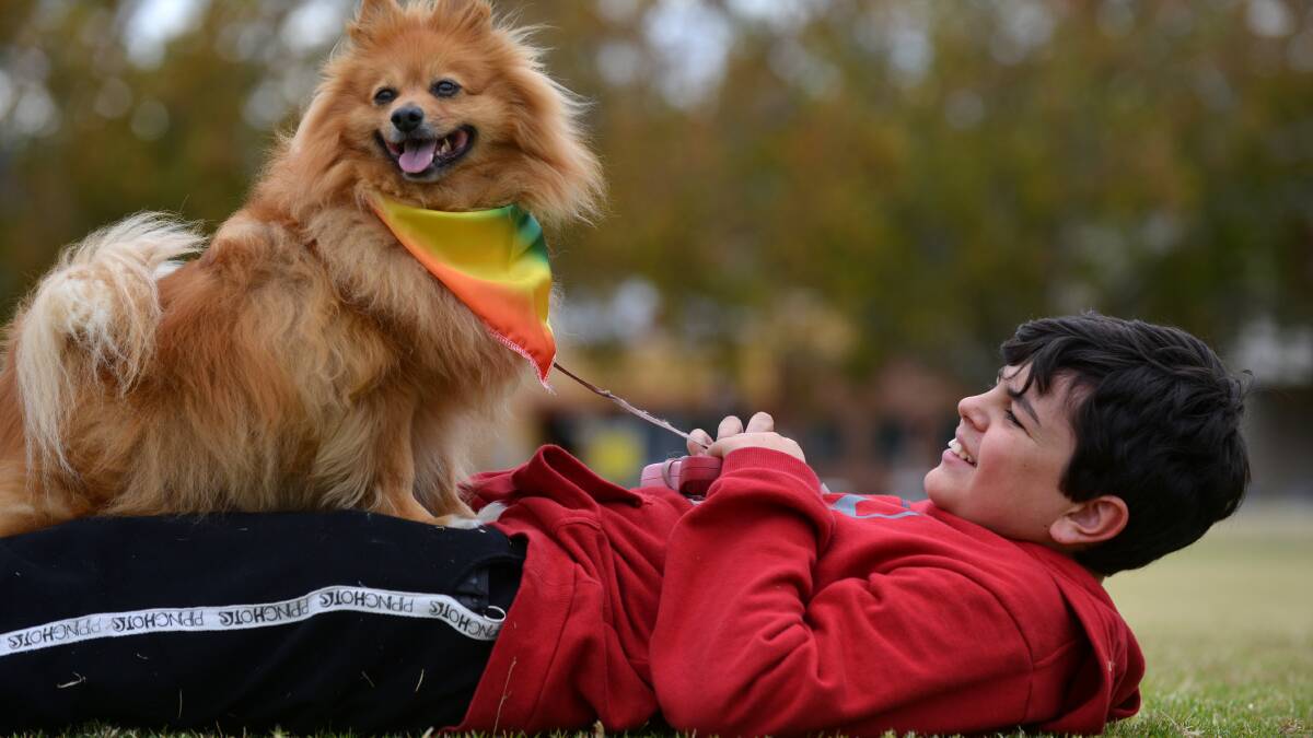 James Potter and his dog Cliffy at the Million Paws walk in May. Photo:Barry Smith 190513BSA12