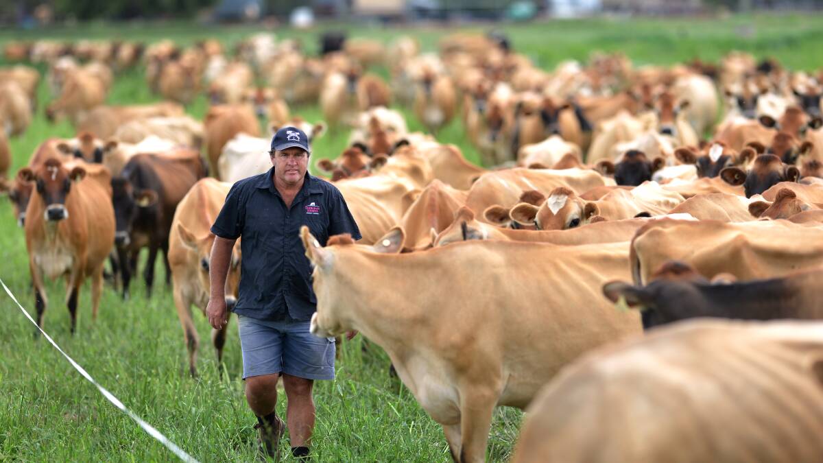 A photo of Brian Wilson, a fourth generation cattle farmer at Wallamore Rd, Tamworth. Photo:Barry Smith 150213BSE12