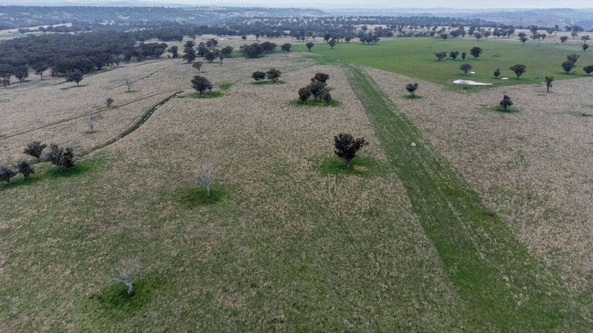The Plumthorpe-Campo Santo-Mayvale aggregation covers 11,323 hectares in the highly productive Banoon Valley, about 15km north west of Barraba.